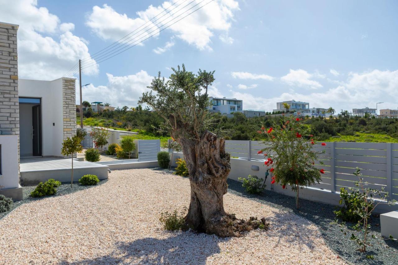 Villa Adaris, Sea Caves Peyia Paphos Ngoại thất bức ảnh